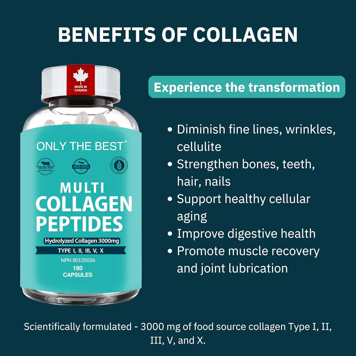 Only The Best Multi Collagen Peptides Capsules – product detail 3