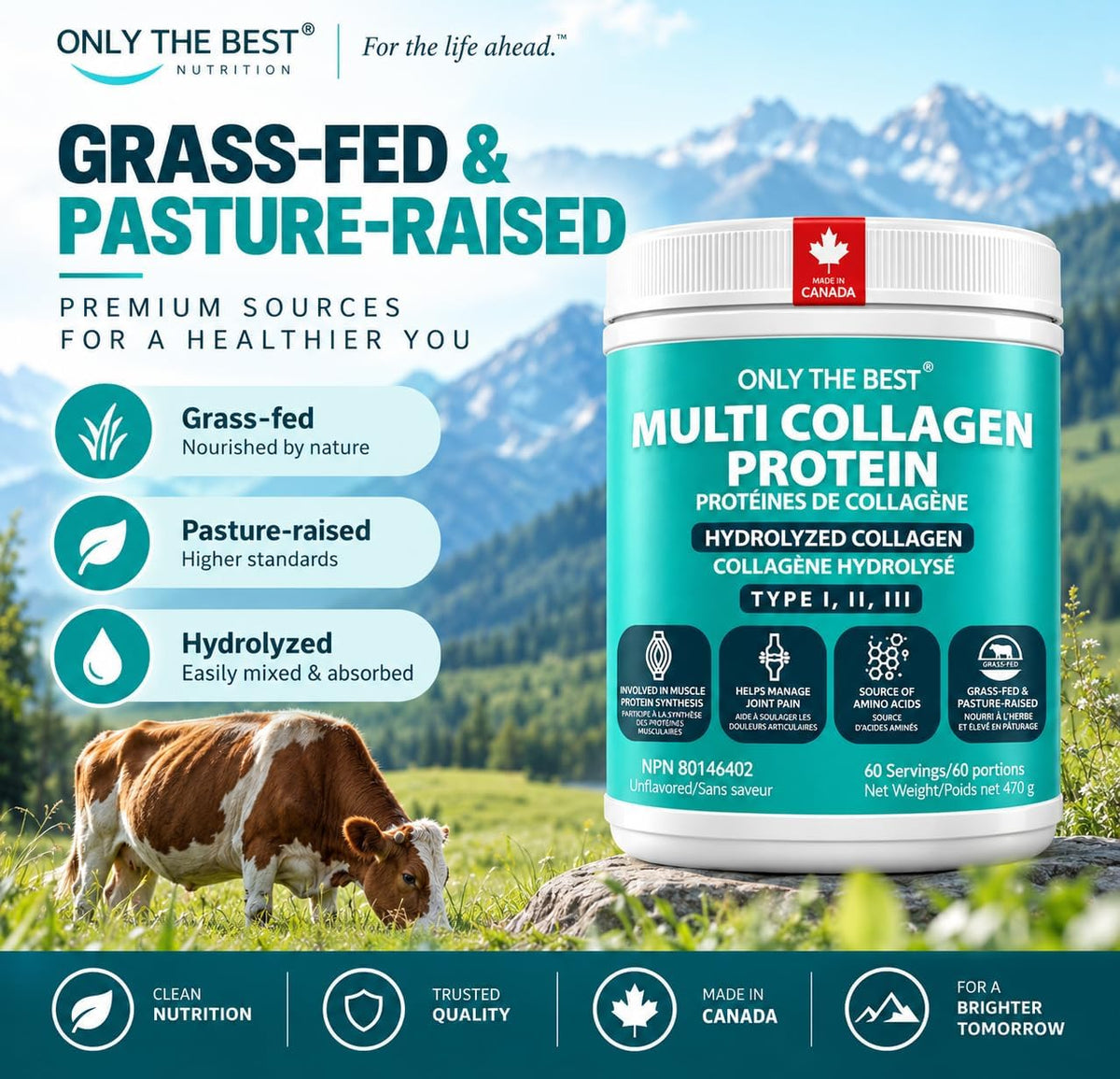 Only The Best Multi Collagen Protein powder – product detail 6